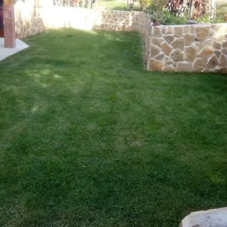 O Lagar Do Bani